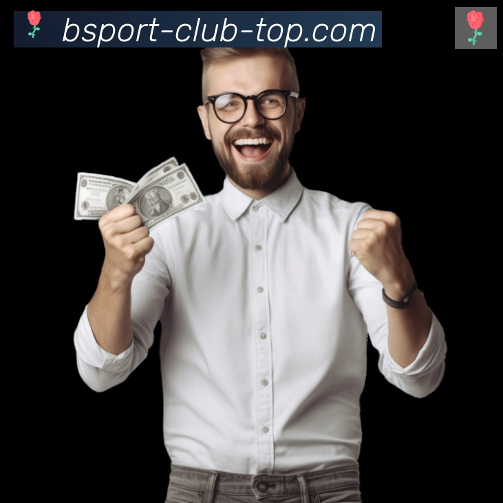 Bsports官网荣誉